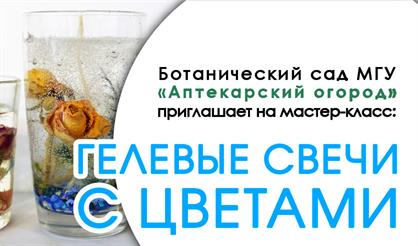 Гелевые свечи с цветами и аромамаслами лаванды и иланг-илангом