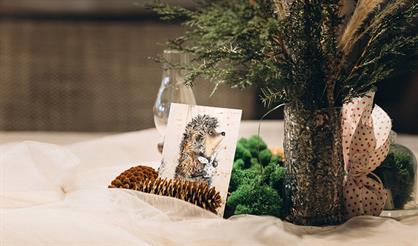 Арт-бранч "Ёжик в тумане"