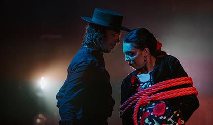 Спектакль фламенко "Кармен"