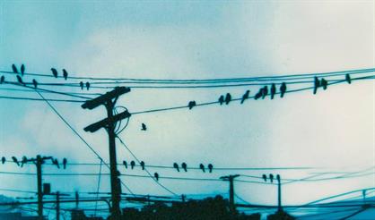 Инди-фестиваль "Близость"