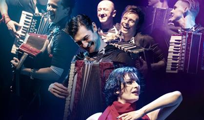 Аккордеоны