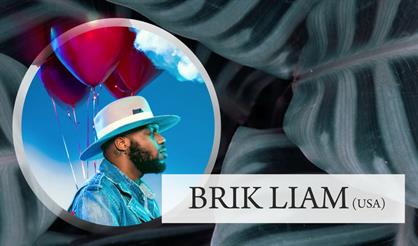 Город джаз. Brik Liam (USA)
