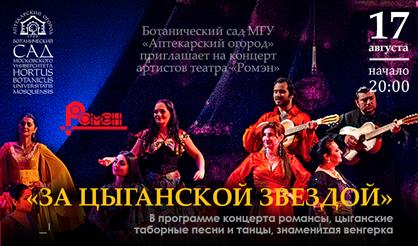 За цыганской звездой