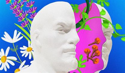 Зеленый палец