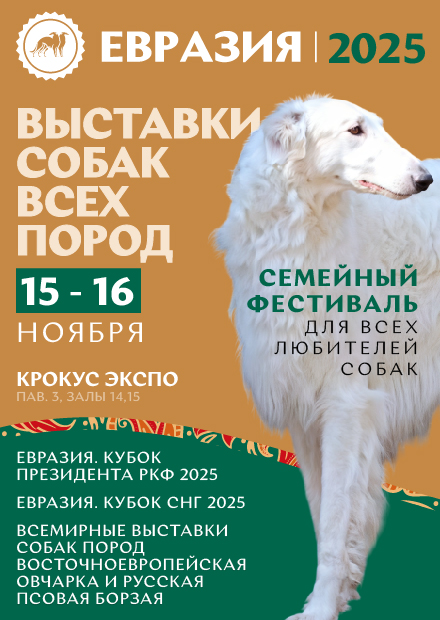 Выставка собак «Евразия 2025»