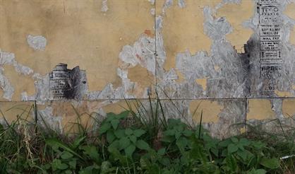 О музыке в саду