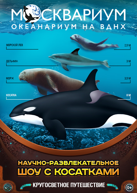 Машины песенки кругосветное путешествие