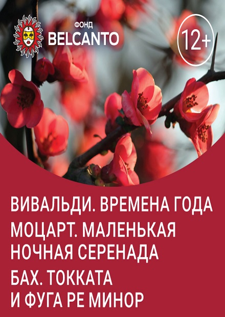 Вивальди. Времена года. Моцарт. Маленькая ночная серенада. Бах. Токката и фуга ре минор