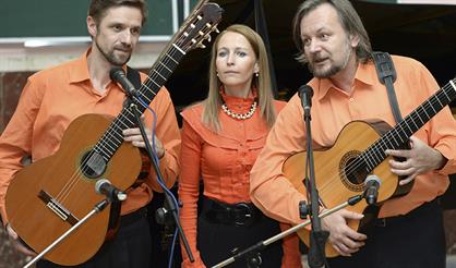 Музыкальный вечер трио "Март"