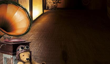 ЧерДачные истории