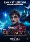 Новый год в Хогвартсе