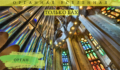 Органная вселенная. Только Бах