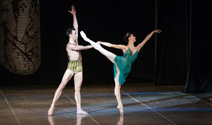 Балет без правил (Штраус-гала)