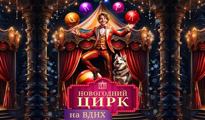 Новогодний цирк на ВДНХ