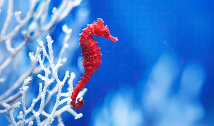 Москвариум