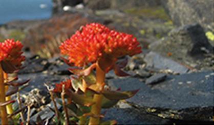 Клуб любителей туризма «Из дальних странствий возвратясь», 414