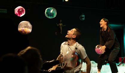 Чёрная курица