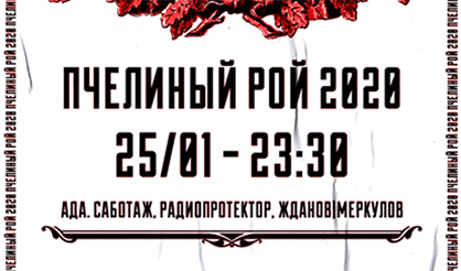 Пчелиный рой 2020