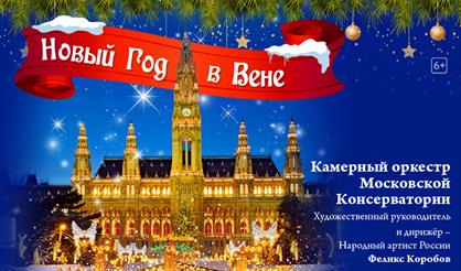 Новый год в Вене