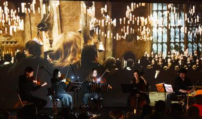 Магическая вселенная Гарри Поттера