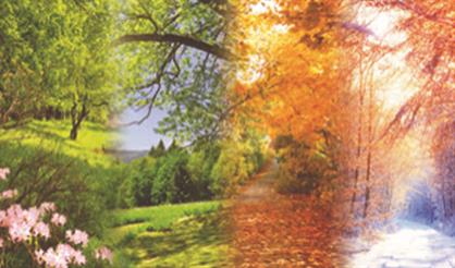 Времена года. Вивальди. Пьяццолла