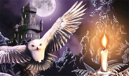 Гарри Поттер. Nella Musica Orchestra