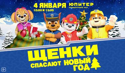 Щенки спасают Новый Год