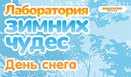Лаборатория зимних чудес: День снега