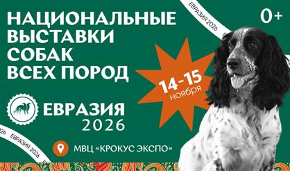 Евразия. Кубок президента РКФ 2026