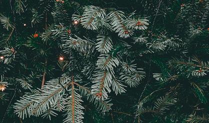 Рождество с Моцартом