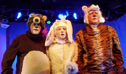 Волшебная ночь, или Когда оживают игрушки