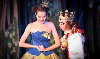 Бременские музыканты. Театр Стаса Намина