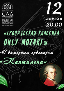 Тропическая классика. Only Mozart