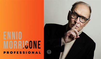 Ennio Morricone. Professional