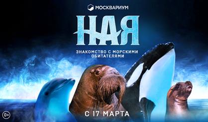 Ная. Знакомство с морскими обитателями