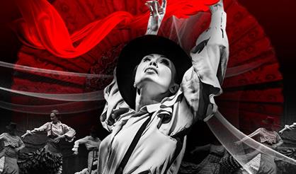 Урсула. Версия одиночества