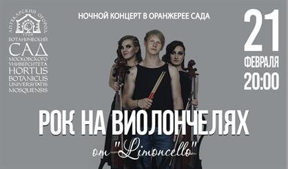 Рок на виолончелях