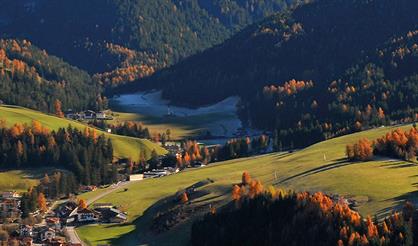 Christmas Tribute. Орган и альпийский рог