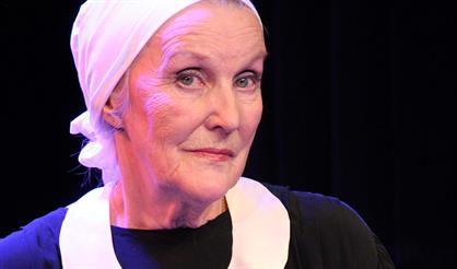 Белые розы, розовые слоны