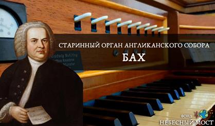 Старинный орган Англиканского собора. Бах