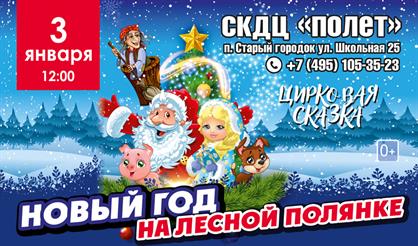 Новый год на лесной полянке