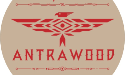 Дом Antrawood (Нижний Новгород)