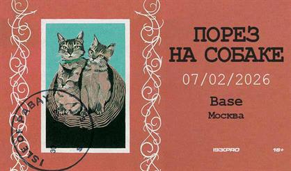 Порез на Собаке