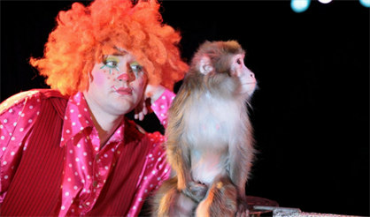 Шоу обезьян