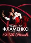 Страсти по фламенко. Театр танца «El Tebi Flamenco»