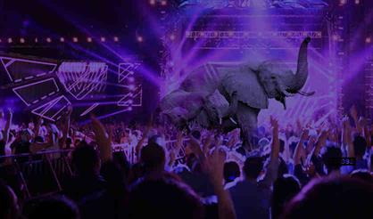 Слонофест (slonoFEST)