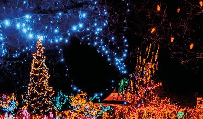 Торжественное закрытие Рождественского фестиваля. Струнный оркестр, орган, голос