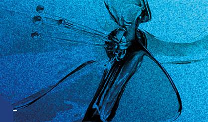 Концерт «Хор - как жизнь»