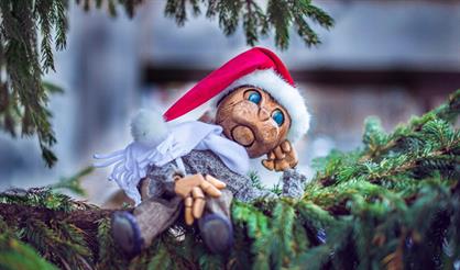 Новый Год, Мороз и Кот