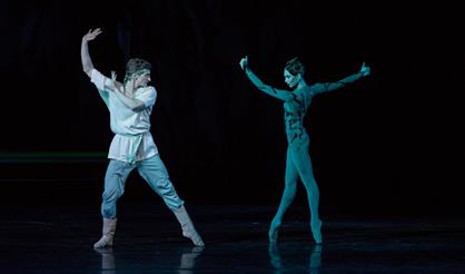 Каменный цветок